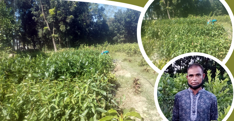 ৭ হাজার টাকায় নার্সারি করে কোটিপতি ইকবাল