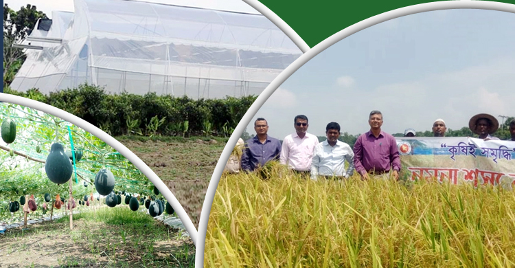 মসলা-ফলে সম্ভাবনা দেখছে বদলগাছীবাসী