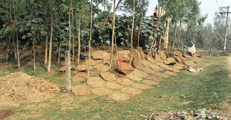দুপুর ১২ টার নিউজ আপডেট। শুক্রবার, ২৭ জানুয়ারি ২০২৩