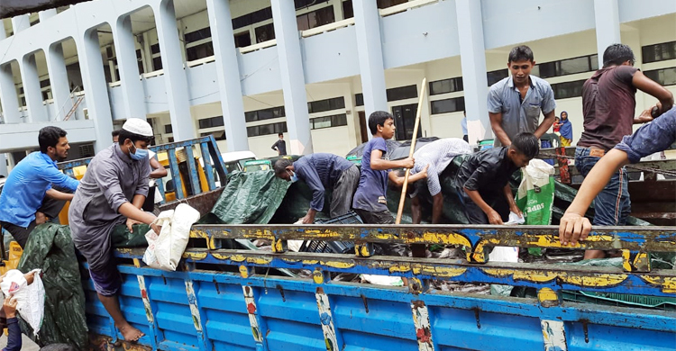 ফেনীতে ৭০ মণ আফ্রিকান মাগুর জব্দ, ব্যবসায়ীর কারাদণ্ড