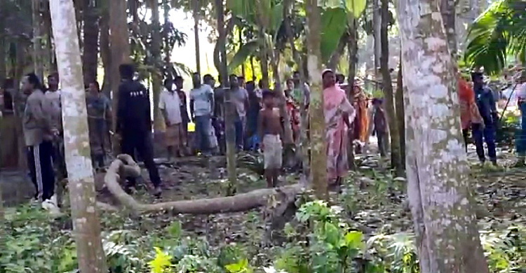 জামালপুরে বাড়িঘরে প্রতিপক্ষের হামলা, আহত ১৫