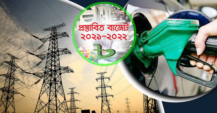 বিদ্যুৎ-জ্বালানি খাতে ২৭ হাজার ৪৮৪ কোটি টাকা বরাদ্দ