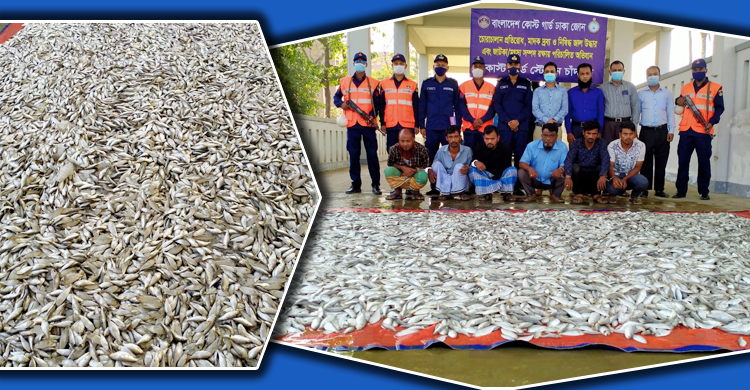 কোস্টগার্ডের অভিযানে জব্দ হলো ১২শ কেজি জাটকা