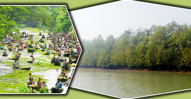 সম্ভাবনার ছৈলার চর ও ভাসমান পেয়ারার হাট