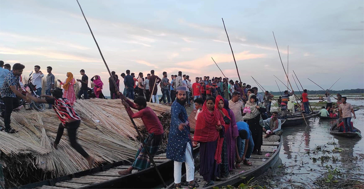 চাঁপাই বিলে পদ্মফুল দেখতে মানুষের ভিড়