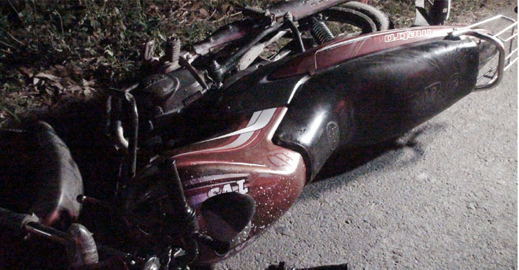 গোপালগঞ্জে বাসের ধাক্কায় শ্যালক-দুলাভাই নিহত