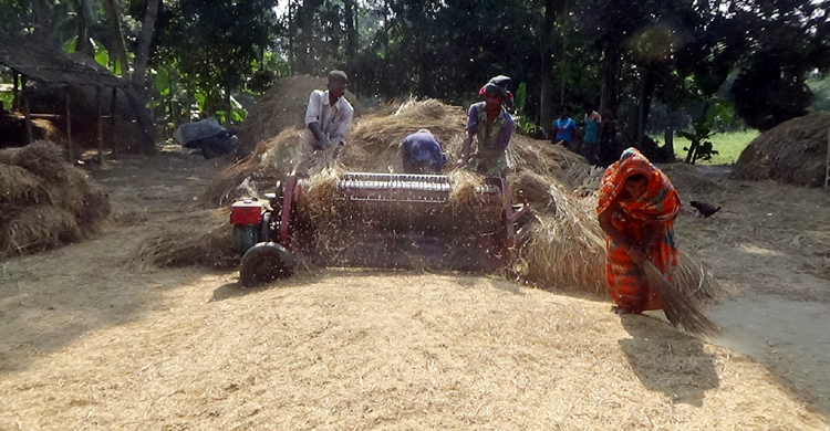 RAJBARI-AMON-DHAN-NEWS-PIC04