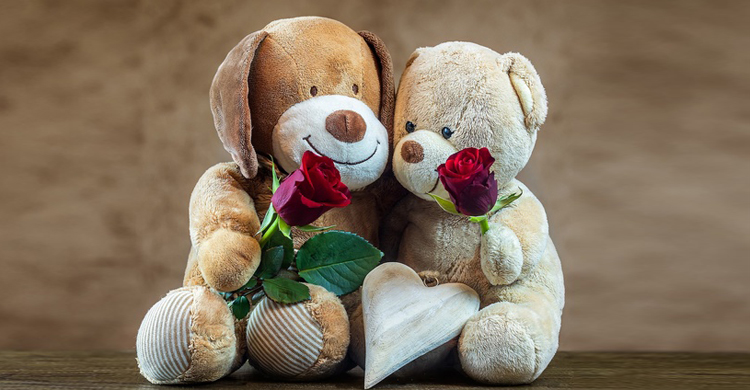 সঙ্গীকে কেন &lsquo;টেডি&rsquo; উপহার দেবেন?