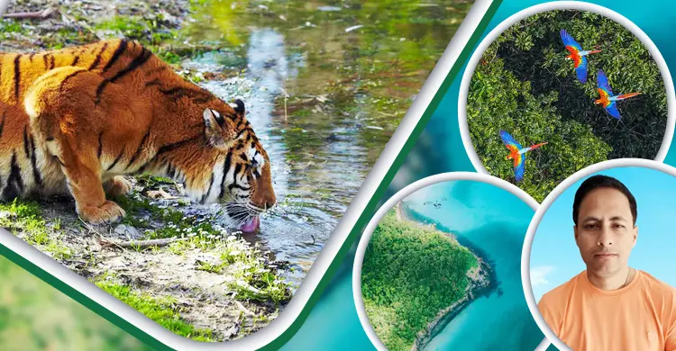 বিশ্বের বিস্ময়কর সব বনভূমির অজানা তথ্য
