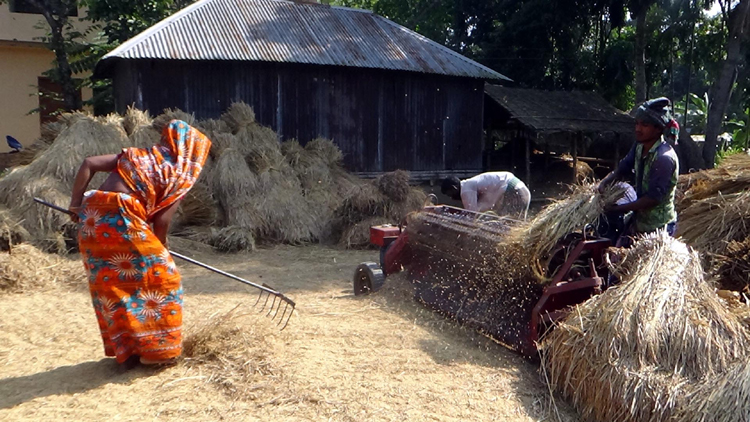 RAJBARI-AMON-DHAN-NEWS-PIC04