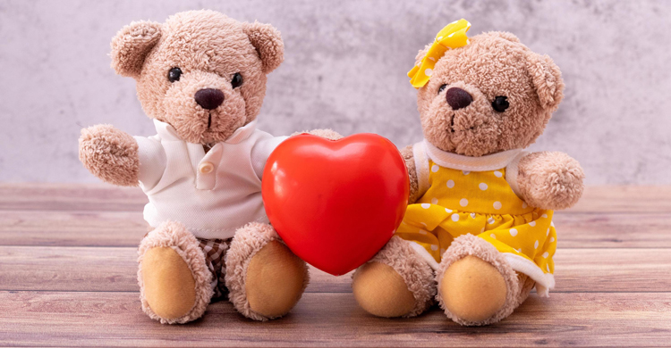 সঙ্গীকে কেন &lsquo;টেডি&rsquo; উপহার দেবেন?