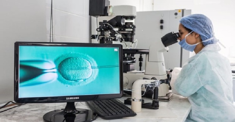 Thousands lose last hope of having a baby as lockdown closes IVF clinics