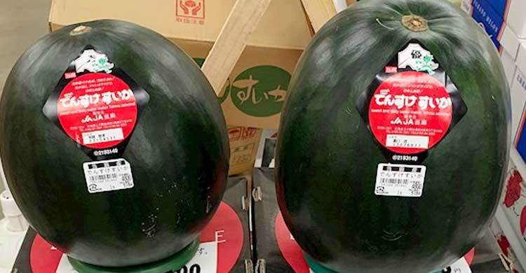 এক তরমুজের দাম লাখ টাকা!। শুক্রবার, ২০ মে ২০২২