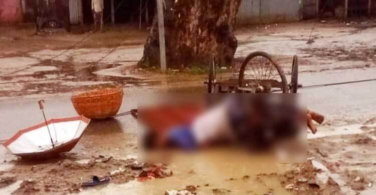 চলন্ত ভ্যানে বিদ্যুতের তার পড়ে চালকসহ প্রা ণ গেলো দুজনের