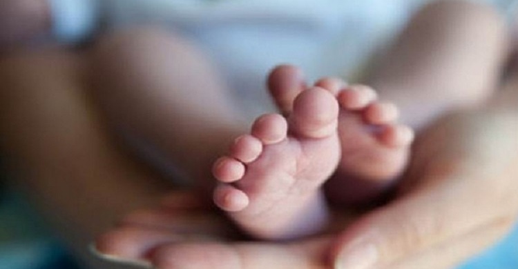 হাসপাতাল থেকে দুই শিশু চুরি মামলায় আয়ার যাবজ্জীবন