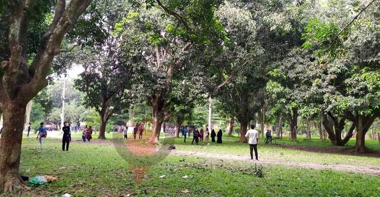 রাবিতে চলছে অপরিপক্ব আম-কাঁঠাল পাড়ার ‘প্রতিযোগিতা’