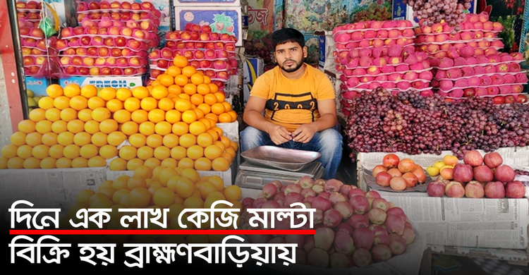 দিনে এক লাখ কেজি মাল্টা বিক্রি হয় ব্রাহ্মণবাড়িয়ায় | ২৯ সেপ্টেম্বর ২০২০