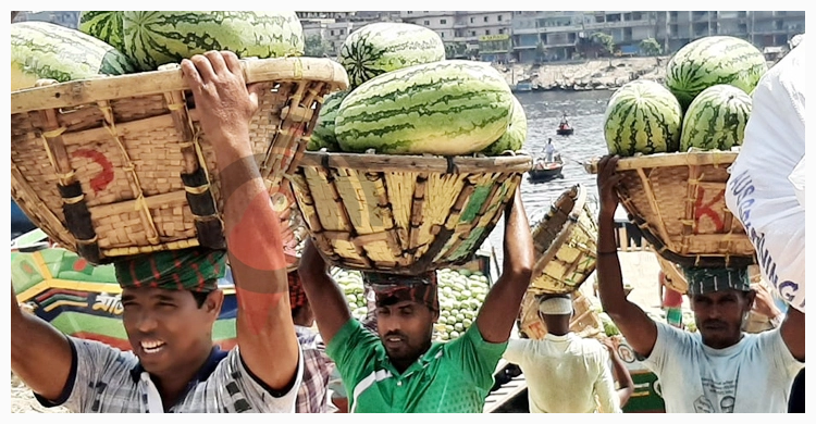 বাজারে দাম চড়া, তবু মৌসুম শেষে লোকসানের আশঙ্কা তরমুজ ব্যবসায়ীদের | ২৩ এপ্রিল ২০২১