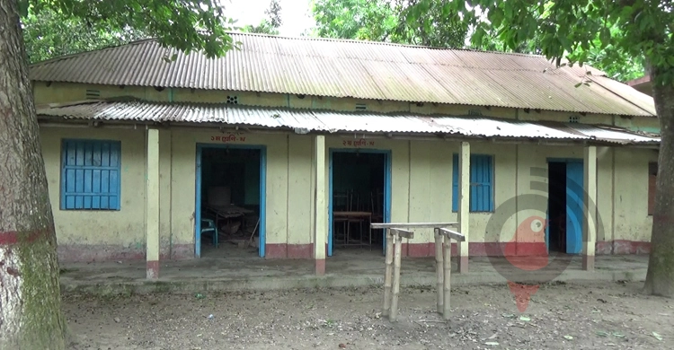 শতবর্ষী মানিকদী সরকারি প্রাথমিক বিদ্যালয়ের বেহাল দশা | ২০ জুন ২০২১