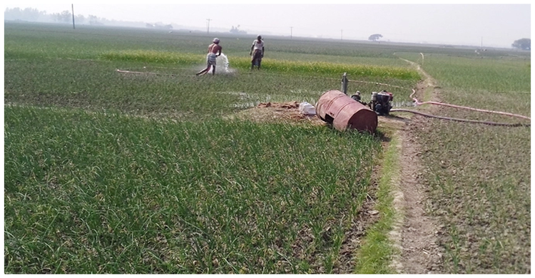 ‘পেঁয়াজের খরচ কেউ দেখে না, সবাই বলে কেজি কত’ | ২৪ জানুয়ারি ২০২১