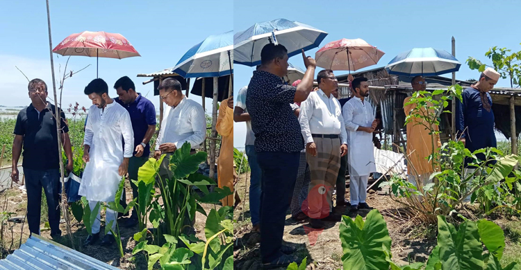 তাহিরপুরে টিন-বাঁশ পেলো বন্যায় ক্ষতিগ্রস্ত ৩৫০ পরিবার