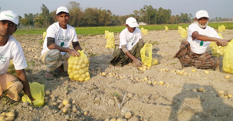মালয়েশিয়ায় বিএডিসির আলু রফতানি শুরু