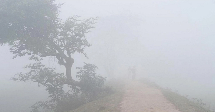 ফের তাপমাত্রা বেড়ে দূর হতে পারে শৈত্যপ্রবাহ