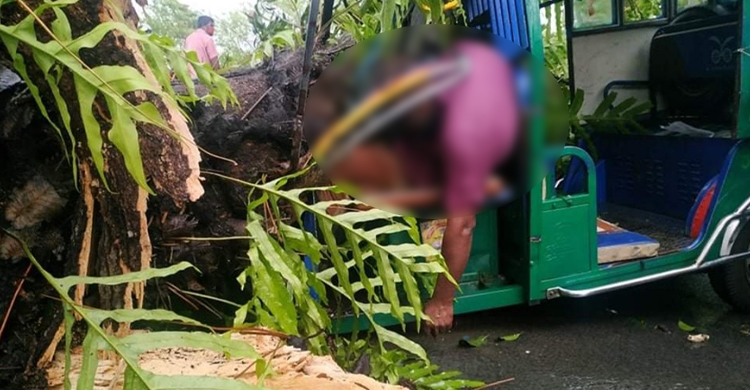 ঝড়ে গাছ ভেঙে পড়লো অটোরিকশার ওপর, চালকের মৃত্যু