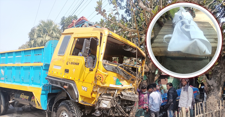 ছেলের সড়ক দুর্ঘটনার খবর শুনে মায়ের মৃত্যু