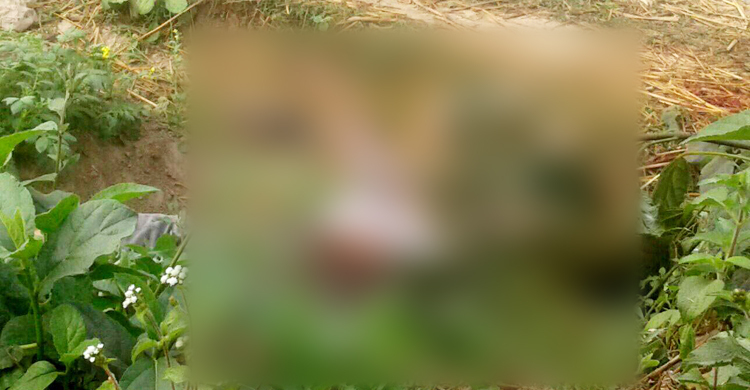 নিথর দেহের পাশে পড়ে ছিল সাইকেল-মোবাইল-সবজি ভর্তি ব্যাগ