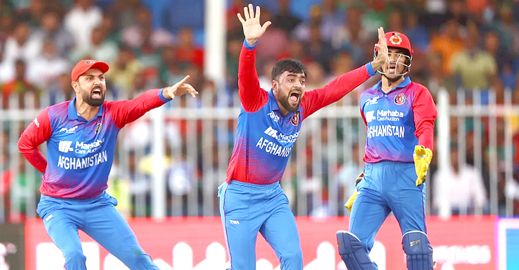 দুই জুটি গড়ে আউট মাহমুদউল্লাহ, মোসাদ্দেকের ব্যাটে ঝড়