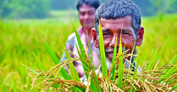 ১৭-২২ মার্চ কালবৈশাখীর শঙ্কা, বিশেষ কৃষি পরামর্শ