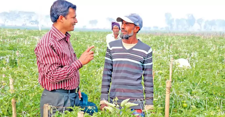 ১৬৫০ উপসহকারী কৃষি কর্মকর্তা নিয়োগ আটকে গেল হাইকোর্টে