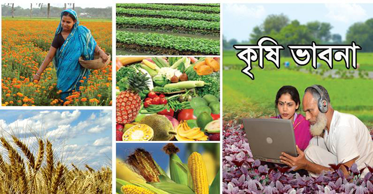 ফেসবুক-ইউটিউবে কৃষি সংক্রান্ত তথ্য দিচ্ছে মন্ত্রণালয়