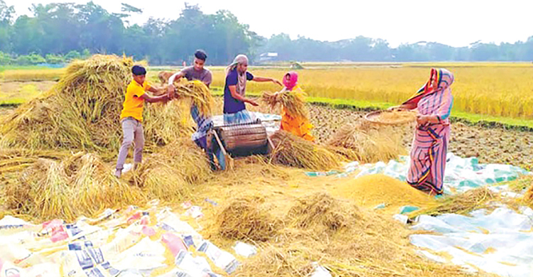 কৃষি খাতের জন্য ৫ হাজার কোটি টাকার তহবিল গঠন