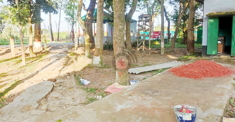 বিএসএফের বাধায় বন্ধ যাত্রী পারাপার, বিজিবির হস্তক্ষেপে চালু