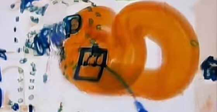 বিমানবন্দরে যাত্রীর লাগেজে মিললো চার ফুটের সাপ