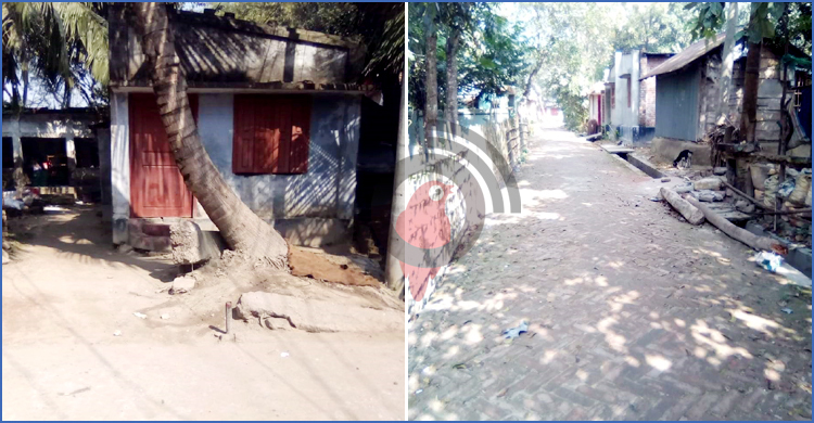 ৪১ বছর আগের জালিয়াতির সত্যতা পেলো দুদক