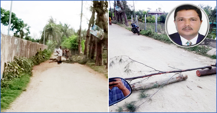 ফের সরকারি গাছ কাটার অভিযোগ চেয়ারম্যানের বিরুদ্ধে