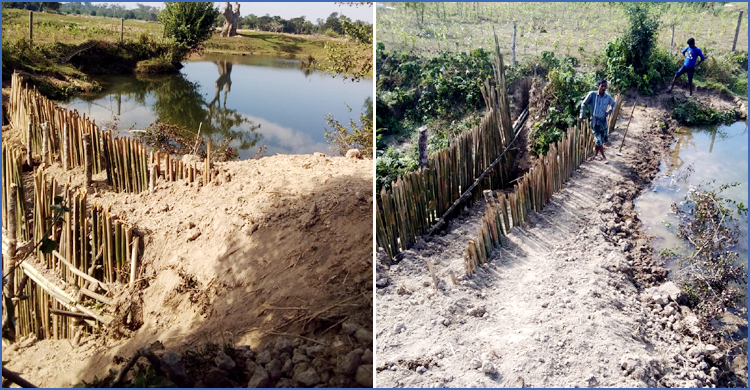 একটি স্লুইসগেট হলেই চাষযোগ্য হবে ৪০০ একর জমি