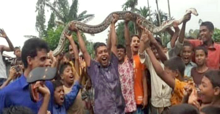 অজগর মেরে উল্লাস!