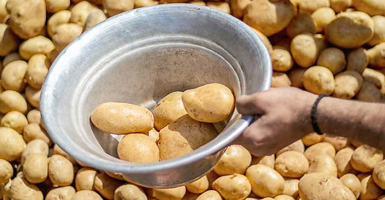 সরকারি দামে আলু পেতে পরতে হবে মাস্ক