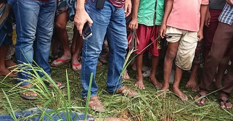 ধানক্ষেতে পড়েছিল তরুণীর লাশ