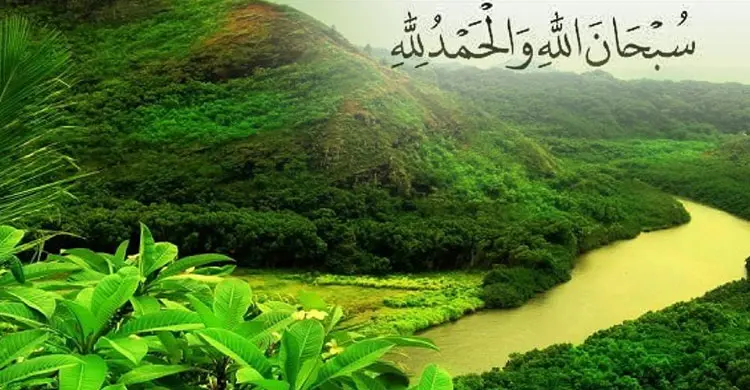 বোনাস রাউন্ড
