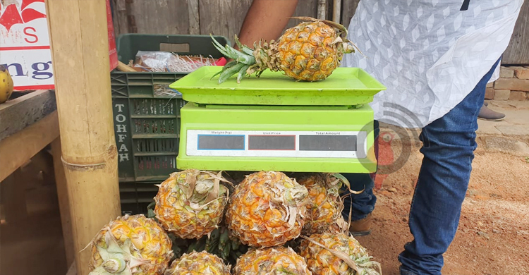 ঠাকুরগাঁওয়ে আনারসের কেজি ৭০ টাকা