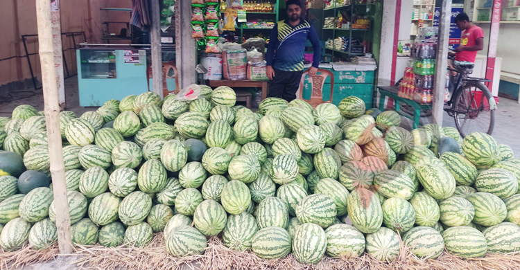 ঠাকুরগাঁওয়ে আনারসের কেজি ৭০ টাকা