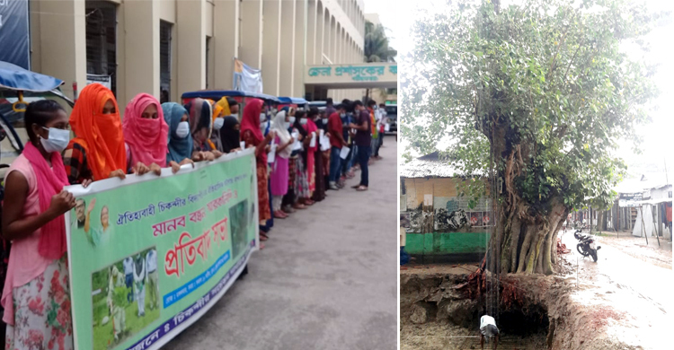 আড়াইশ বছরের বটগাছটি বাঁচানোর দাবি এলাকাবাসীর