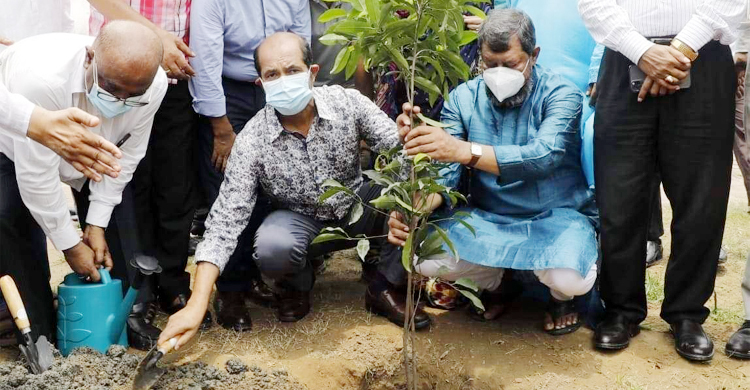 ছাদবাগান করলে ১০ শতাংশ হোল্ডিং ট্যাক্স মওকুফ : মেয়র আতিক