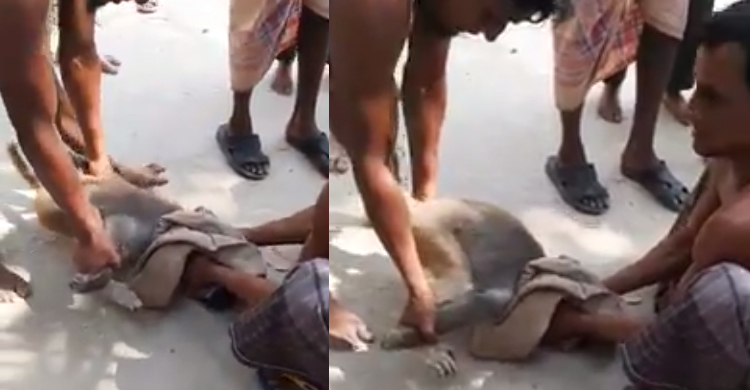 এভাবেও মারা যায় একটা প্রাণীকে!