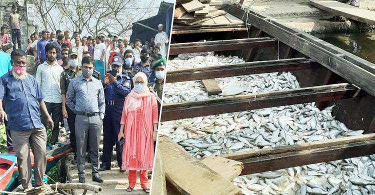 ১০ মণ জব্দ জাটকা গেল এতিমখানায়